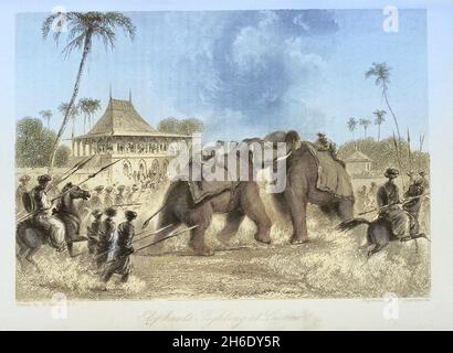 Machine färbte einen Elefantenkampf in Lucknow, Uttar Pradesh, der von Menschenmassen und bewaffneten Soldaten beobachtet wurde. Stich von J Stephenson, ca. 1837, nach W. Daniell, R. A. aus dem Buch "The Oriental Annual, OR, Scenes in India" von The Rev. Hobart Caunter Herausgegeben von Edward Bull, London 1838 Stiche aus Zeichnungen von William Daniell Stockfoto