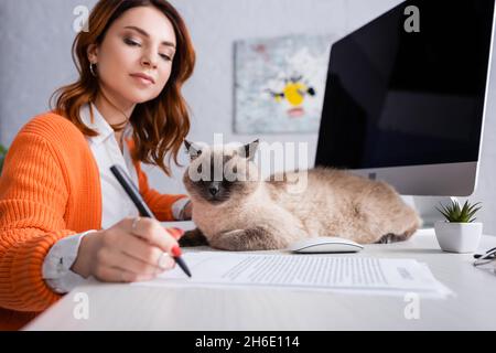 Junge Frau, die einen verschwommenen Vertrag in der Nähe eines Monitors mit leerem Bildschirm und einer Katze auf dem Schreibtisch unterschrieb Stockfoto