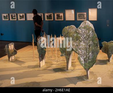 Fotoausstellung im Schwedischen Museum Fotografiska in Manhattan NYC Stockfoto