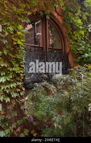 ivy klettert um ein gekrümmtes altes Fenster mit schmiedeeisernen Sicherheitskräften im Gramercy Park Manhattan NYC Stockfoto