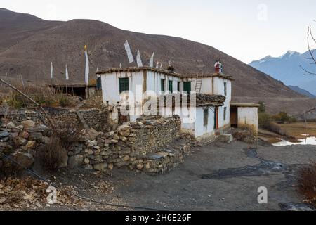 Steinhaus im Dorf Jharkot. Mustang District, Nepal Stockfoto