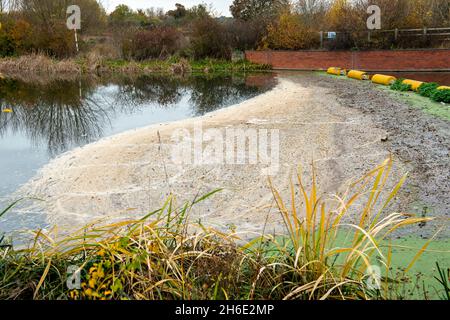 Taplow, Buckinghamshire, Großbritannien. November 2021. Verschmutzung an einem Wehr am Jubilee River in Taplow. Umweltschützer sind besorgt darüber, dass nicht genug getan wird, um zu verhindern, dass Wasserunternehmen Umweltverschmutzung in die Flüsse und Meere rund um das Vereinigte Königreich abführen. Der Jubilee River ist ein Flutmilderungsprogramm für Windsor und Maidenhead, das überschüssiges Wasser aus der Themse in Zeiten von Überschwemmungen mit dem Ziel nimmt, Sachüberflutungen im Royal Borough of Windsor und Maidenhead zu verhindern. Quelle: Maureen McLean/Alamy Live News Stockfoto