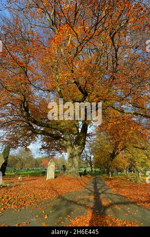 Leicester, Leicestershire, Großbritannien 15. November 2021. UK News. Ein herbstlicher Morgen auf dem Welford Road Cemetery in Leicester. Alex Hannam Stockfoto