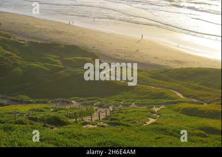 Ein Winternachmittag am Strand, Fort Funston CA Stockfoto