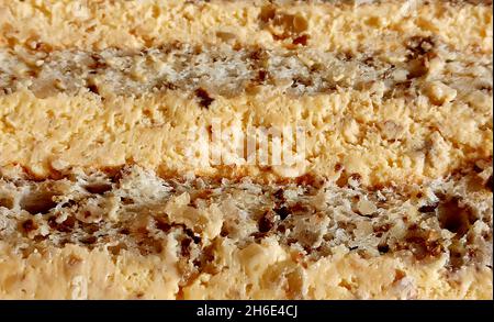 Makrobild von Schichten von Schokoladenkuchen Bild Stockfoto