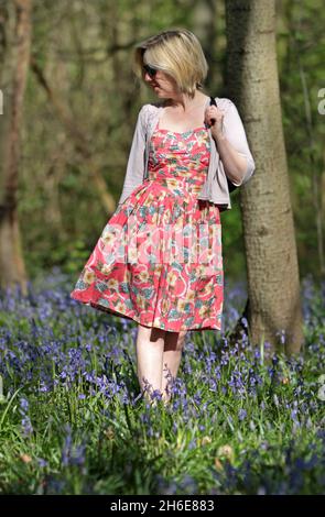 Eine Frau genoss an diesem Wochenende die frühen Bluebells im Wanstead Park im Osten Londons. In der Regel im Park bis Ende April gesehen, haben diese Jahre Ernte früh aufgrund der warmen Zauber des Wetters blühte. Der National Trust prognostizierte letzte Woche, dass Bluebells in ganz Großbritannien nach dem milden und trockenen Start ins Jahr 2011 mehr als einen Monat früher als im letzten Jahr blühen würden. Stockfoto