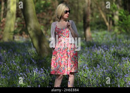 Eine Frau genoss an diesem Wochenende die frühen Bluebells im Wanstead Park im Osten Londons. In der Regel im Park bis Ende April gesehen, haben diese Jahre Ernte früh aufgrund der warmen Zauber des Wetters blühte. Der National Trust prognostizierte letzte Woche, dass Bluebells in ganz Großbritannien nach dem milden und trockenen Start ins Jahr 2011 mehr als einen Monat früher als im letzten Jahr blühen würden. Stockfoto