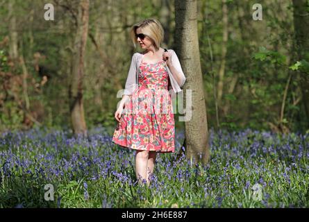 Eine Frau genoss an diesem Wochenende die frühen Bluebells im Wanstead Park im Osten Londons. In der Regel im Park bis Ende April gesehen, haben diese Jahre Ernte früh aufgrund der warmen Zauber des Wetters blühte. Der National Trust prognostizierte letzte Woche, dass Bluebells in ganz Großbritannien nach dem milden und trockenen Start ins Jahr 2011 mehr als einen Monat früher als im letzten Jahr blühen würden. Stockfoto