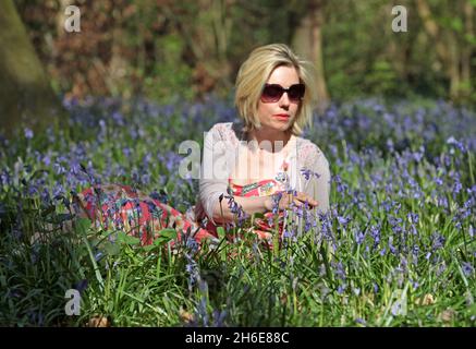 Eine Frau genoss an diesem Wochenende die frühen Bluebells im Wanstead Park im Osten Londons. In der Regel im Park bis Ende April gesehen, haben diese Jahre Ernte früh aufgrund der warmen Zauber des Wetters blühte. Der National Trust prognostizierte letzte Woche, dass Bluebells in ganz Großbritannien nach dem milden und trockenen Start ins Jahr 2011 mehr als einen Monat früher als im letzten Jahr blühen würden. Stockfoto
