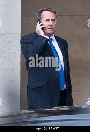 Verteidigungsminister Liam Fox plaudert auf seinem Handy, als er das Unterhaus verlässt, nachdem er Fragen über seine Freundschaft mit Adam Werrity beantwortet hat. Stockfoto