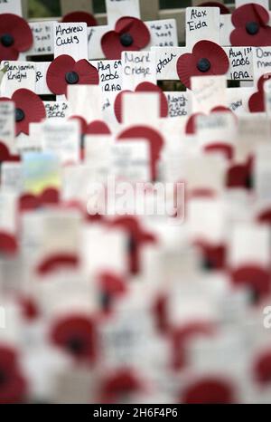 Hunderte von Kreuzen mit Mohnblumen wurden im Gedenkfeld in der Westminster Abbey, London, gelegt, um an die in den Kriegen gestorbenen jungen Männer und Frauen zu erinnern, die im Irak starben. Stockfoto