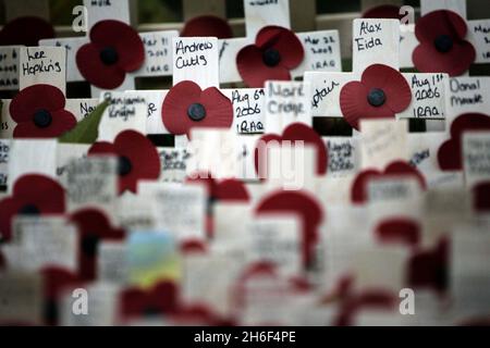 Hunderte von Kreuzen mit Mohnblumen wurden im Gedenkfeld in der Westminster Abbey, London, gelegt, um an die in den Kriegen gestorbenen jungen Männer und Frauen zu erinnern, die im Irak starben. Stockfoto