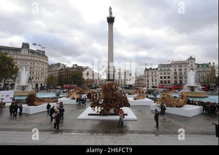 An diesem Morgen wurden Regenwaldbaumstumpfe um Nelson's Column auf dem Trafalgar Square positioniert, um Teil der Kunstinstallation „Ghost Forest“ von Angela Palmer zu sein, die Verbindungen zwischen Abholzung und Klimawandel hervorhebt. Stockfoto