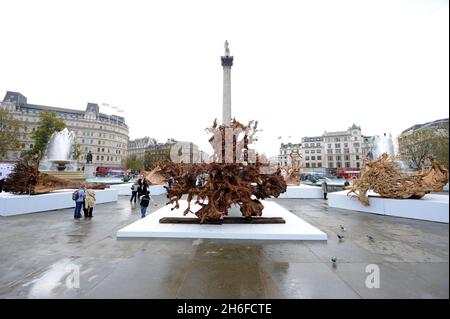 An diesem Morgen wurden Regenwaldbaumstumpfe um Nelson's Column auf dem Trafalgar Square positioniert, um Teil der Kunstinstallation „Ghost Forest“ von Angela Palmer zu sein, die Verbindungen zwischen Abholzung und Klimawandel hervorhebt. Stockfoto