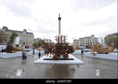 An diesem Morgen wurden Regenwaldbaumstumpfe um Nelson's Column auf dem Trafalgar Square positioniert, um Teil der Kunstinstallation „Ghost Forest“ von Angela Palmer zu sein, die Verbindungen zwischen Abholzung und Klimawandel hervorhebt. Stockfoto