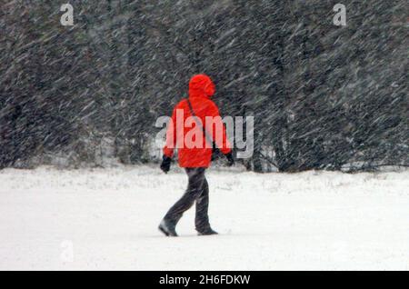 Starker Schnee im Osten Londons heute Nachmittag. Stockfoto