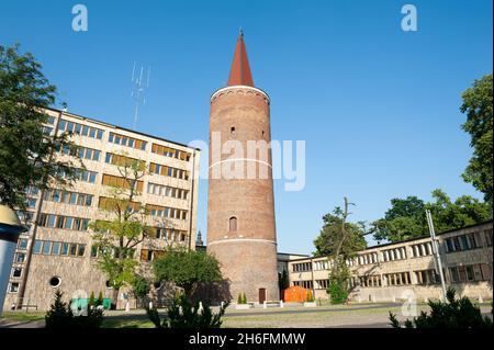 Piastenturm, erbaut unter Bolko I. von Opole, um 1300, Opole, Polen Stockfoto
