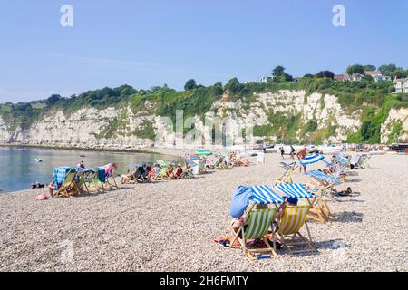 Beer Devon Beach - viele Leute am Kieselstrand Beer Devon Beach im Beer Devon England GB Europa Stockfoto