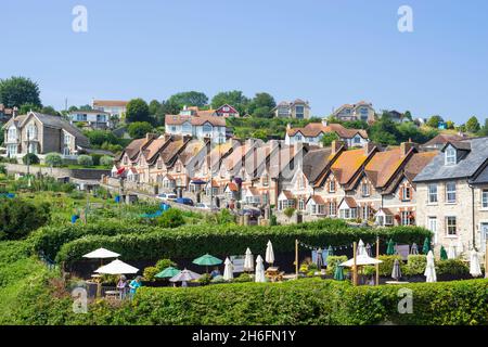 Bier Devon traditionell gebaute Terrassenhäuser mit Gärten vor dem Common Lane Beer Village Centre Bier Devon England GB Europe Stockfoto