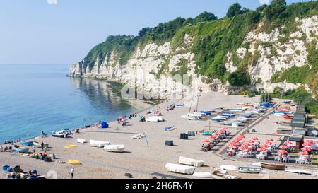 Bier Devon viele Leute saßen am Kieselstrand inmitten der Fischerboote am Strand von Beer Devon England GB Europe Stockfoto