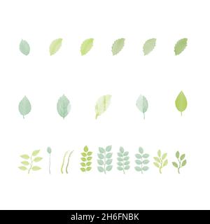 Aquarell natürliche Blume und verlassen Set-Design Stock Vektor