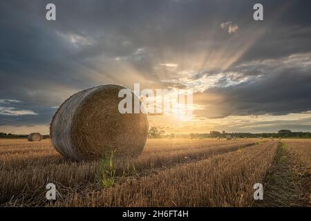 Sonnenuntergang über einem geernteten Kornfeld mit Strohballen Stockfoto