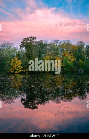 Rosa Wolken bei Sonnenaufgang über dem ruhigen Wasser eines Sees. Wunderschöne Bäume mit Herbstblättern entlang der Uferpromenade. Stockfoto