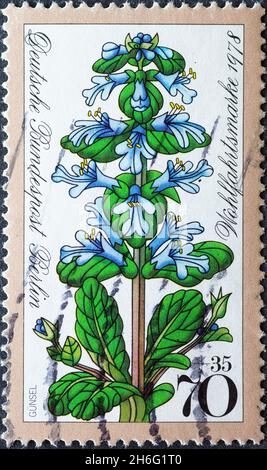DEUTSCHLAND, Berlin - UM 1978: Eine Briefmarke aus Deutschland, Berlin, die eine ajuga-Pflanze auf einer Spendenpostmarke zeigt Stockfoto