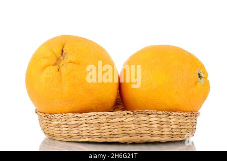 Zwei organische, leuchtend gelbe Orangen in einem Strohteller, Nahaufnahme, isoliert auf Weiß. Stockfoto