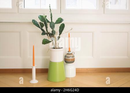 Innenraum eines Raumes mit Kaktuspflanzen. Kakteen Zimmerpflanze im Topf innen und Kerzen. Gemütliches, stilvolles Wohnzimmer mit Kakteen. Stockfoto