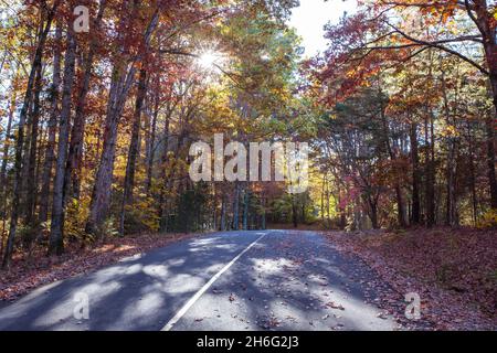 Die späte Nachmittagssonne scheint durch bunte Herbstblätter auf einer ländlichen Landstraße. Stockfoto