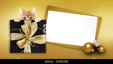 Tierhandlung fröhliche weihnachtsgeschenkkarte mit Ingwer-Katze, Box-Paket und weiße Karte auf golden glitzernden Hintergrund, Kopie Raum Layout nützlich für Begrütin Stockfoto
