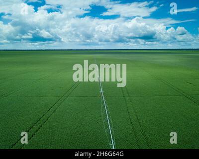 Schöne Drohne Luftaufnahme der riesigen Farm Soja Plantage mit zentralen Drehpunkt Bewässerungsmaschine an sonnigen Sommertag. Konzept der Landwirtschaft, Umwelt Stockfoto