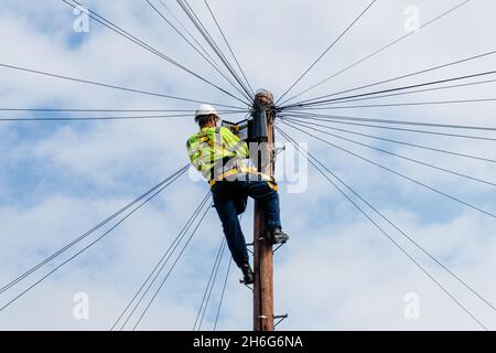 Kelly Group Telekommunikation, Telekommunikationsingenieur bei der Arbeit an der Spitze eines Telegrafenmastes, London, England Vereinigtes Königreich Großbritannien Stockfoto