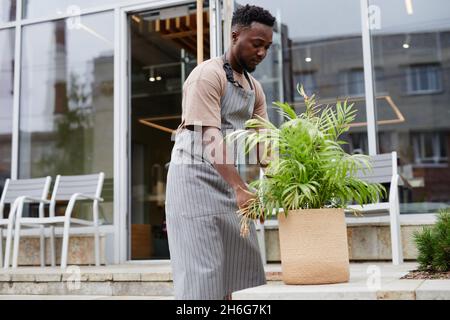 Junger Mann mit Schürze, der in einem modernen Café arbeitet und das Eingangsbereich im Freien mit Pflanzen dekoriert Stockfoto