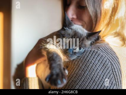Portrait einer jungen Frau, die zu Hause siam Katze auf den Schultern hält.Home Emotionen und Haustierkonzept Stockfoto
