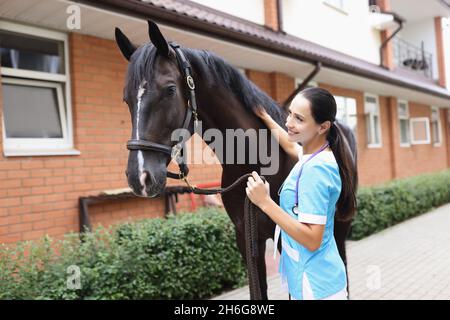 Weibliche Tierärztin führt körperliche Untersuchung des schwarzen Pferdes Stockfoto