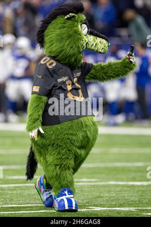 Indianapolis, Indiana, USA. November 2021. Indianapolis Colts Maskottchen Blue während des NFL-Fußballspiels zwischen den Jacksonville Jaguars und den Indianapolis Colts im Lucas Oil Stadium in Indianapolis, Indiana. Indianapolis besiegte Jacksonville 23-17. John Mersits/CSM/Alamy Live News Stockfoto