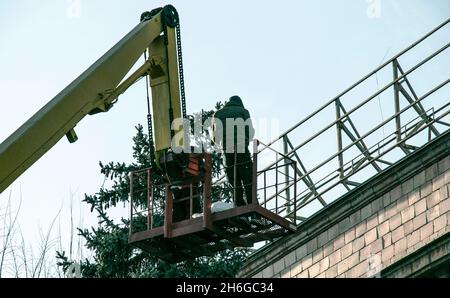 Vorbereitung der Stadtstraßen für das neue Jahr. Arbeiter in einer Höhe in einem Krankorb bereiten Bäume für die Installation von energiesparenden Glühbirnen und vor Stockfoto