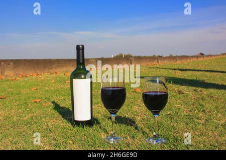 Selektiver Fokus auf die Nahaufnahme der Weinflasche mit weißem Etikett und Gläsern mit Rotwein auf dem Rasen vor blauem Himmel. Stockfoto