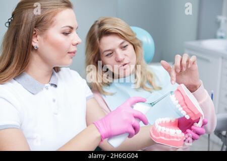 Junge Zahnärztin zeigt ihre Ultraschallzahnbürste am Kiefermodell Stockfoto