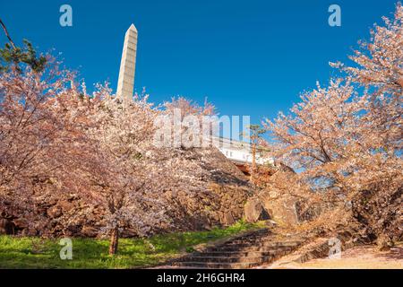 Kofu, Japan im Maizuru Castle Park historisches Tor und Monument im Frühling. Stockfoto