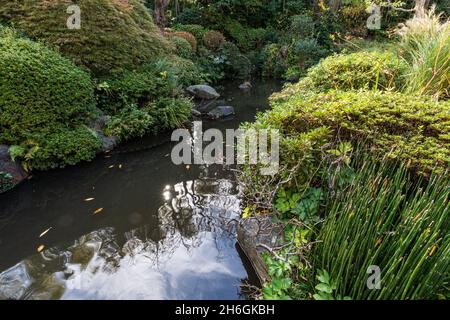 Yakushi Fountain Garden - Es ist ein Garten mit dem Duft der Edo-Kultur, direkt neben Nakasendo restauriert. Shimizu Yakushi, der früher in diesem ar war Stockfoto