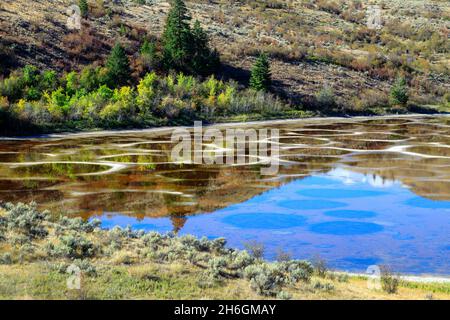 Spotted Lake ist ein salzhalsider endorheischer Alkali-See, der nordwestlich von Osoyoos im östlichen Similkameen Valley von British Columbia, Kanada, liegt und von dem vi aus erreicht wird Stockfoto