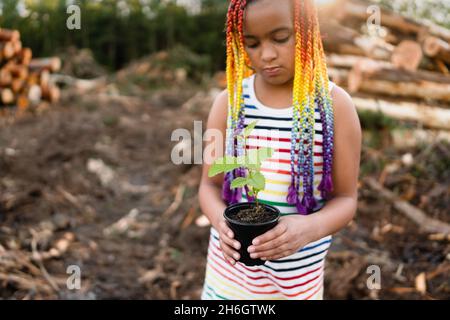 Junge gemischte Rasse Mädchen mit Regenbogen-Box Zöpfe steht auf der Logging-Website hält einen Baum spling zu Pflanzen. Stockfoto