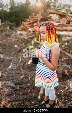 Junge gemischte Rasse Mädchen mit Regenbogen-Box Zöpfe steht auf der Logging-Website hält einen Baum spling zu Pflanzen. Stockfoto