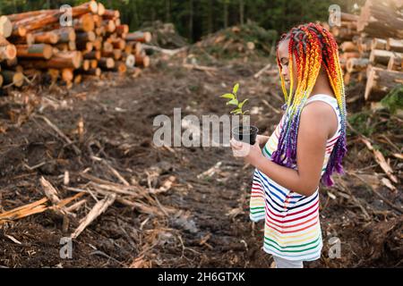 Junge gemischte Rasse Mädchen mit Regenbogen-Box Zöpfe steht auf der Logging-Website hält einen Baum spling zu Pflanzen. Stockfoto