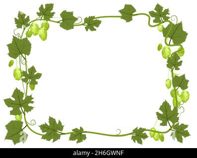 Rechteckiger Rahmen mit Hopfen. Ein Zweig mit dichten Blättern und Kegeln. Schlaffe Triebe mit Blättern. Wilde Natur. Flache Illustration mit Platz für Stock Vektor