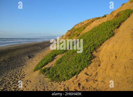 Ein Winternachmittag am Strand, Fort Funston CA Stockfoto