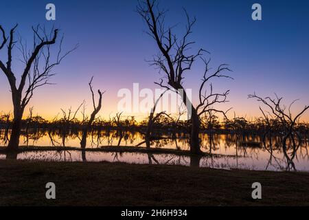 Spektakulärer Sonnenuntergang mit Bäumen im Wasser bei Lara Wetlands, Queensland, QLD, Australien Stockfoto